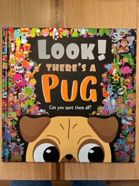 Look! There's a Pug Illustrated Children's Book